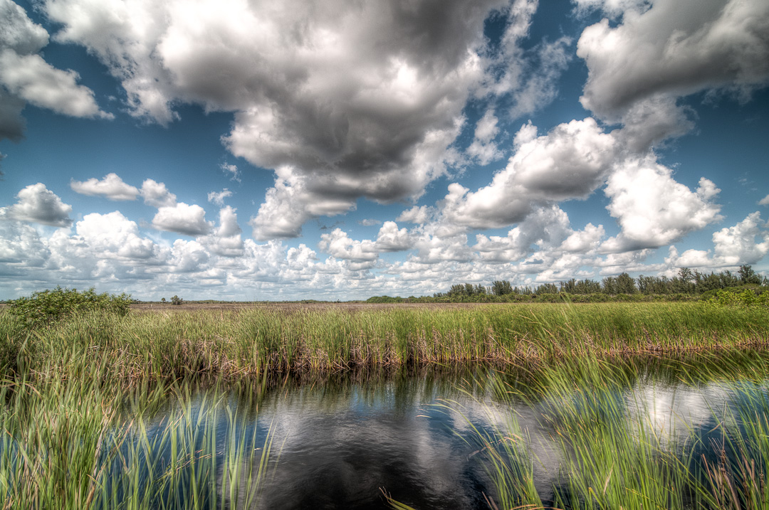 Clouds Over the Everglades