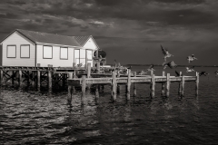 Pine-Island-Fish-Shacks-5