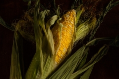 Ear of Corn