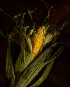 Corn