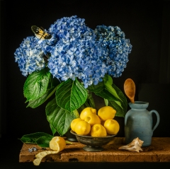Hydrangeas and Lemons
