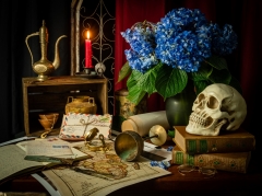 Vanitas Wanderlust