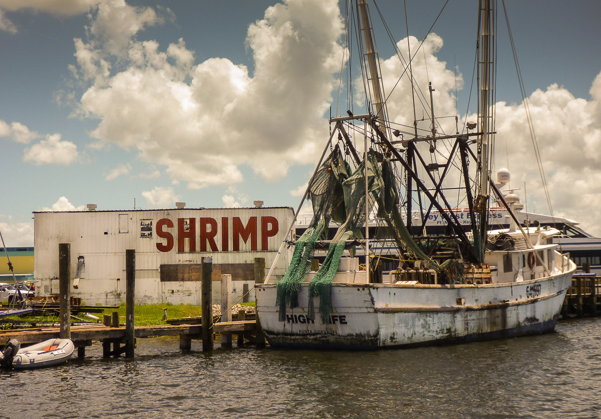 Shrimp Boats, Ft Myers photos