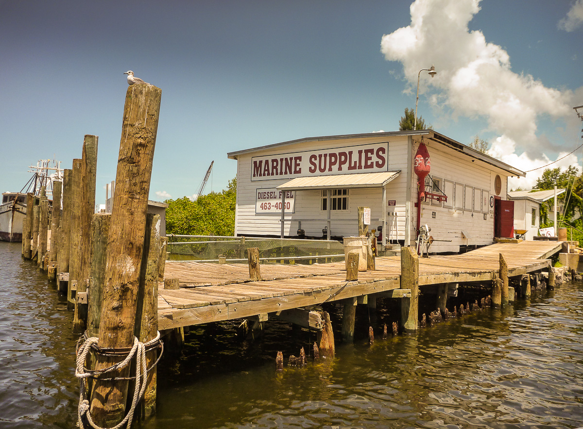 Shrimp Boats, Ft Myers photos-9