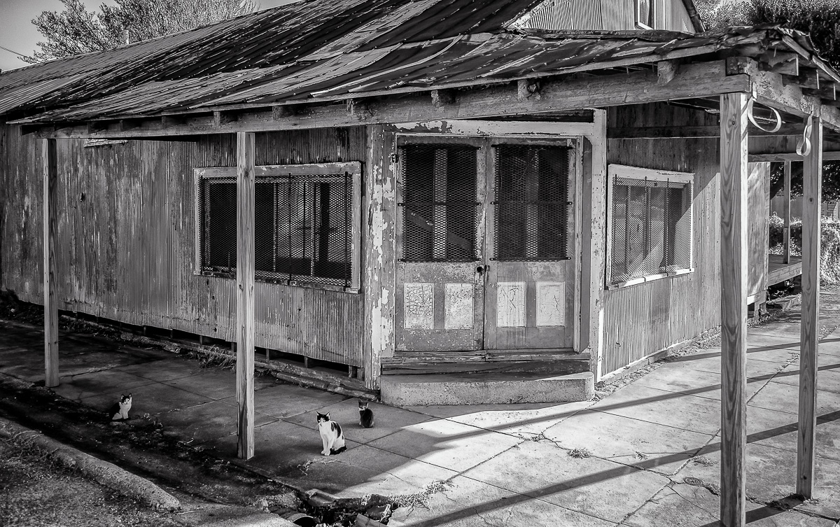 Abandoned in Natchez