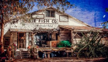 Dixie Fish Company