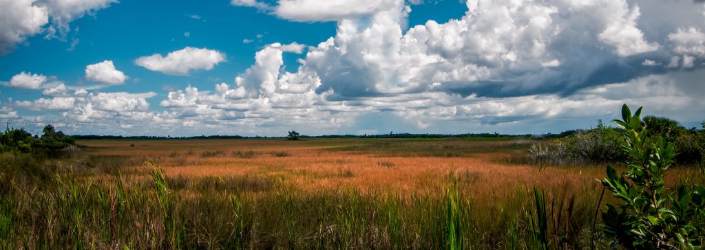 The Everglades, a River of Grass Ron Mayhew