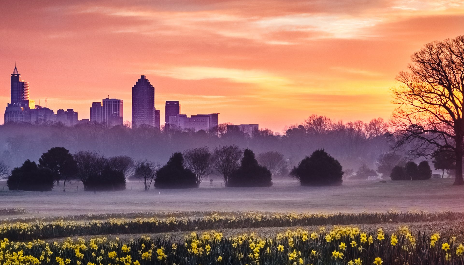 Sun Rises Over Raleigh, NC