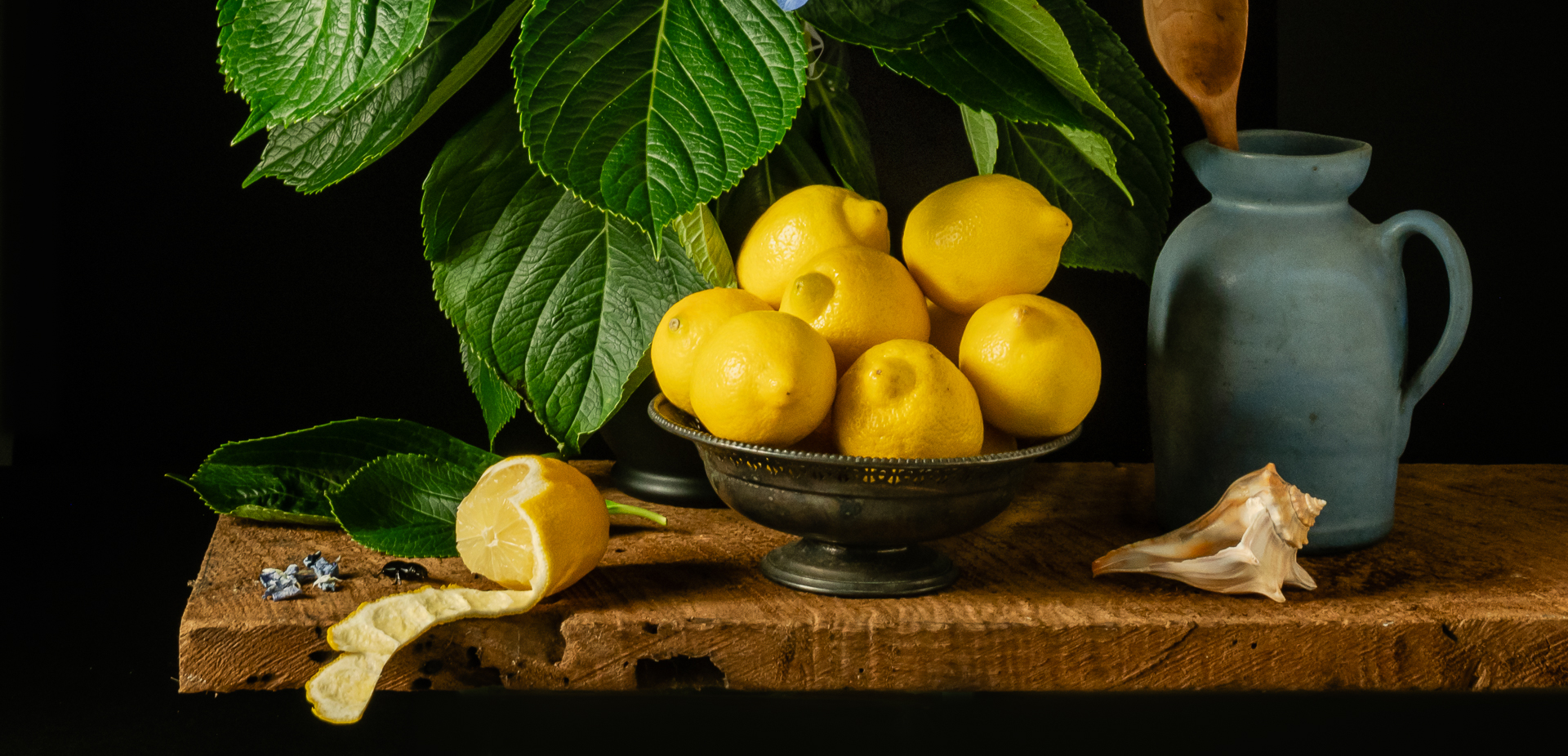 Hydrangeas and Lemons | a Still Life Photograph