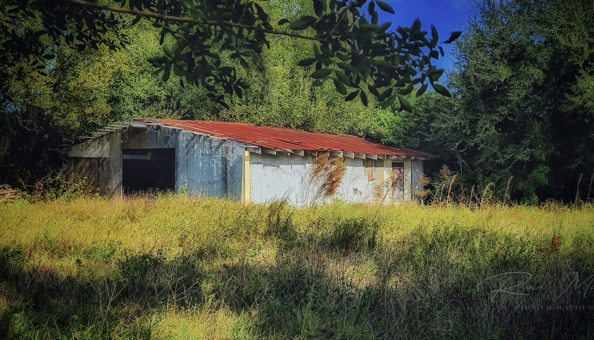 Old Pope Road Shed