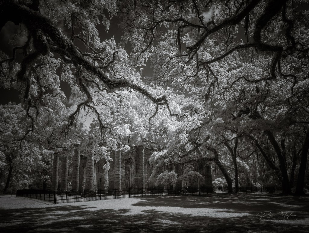 Sheldon Sc South Carolina's Iconic Sheldon Church Ruins - Ron Mayhew