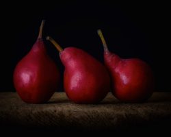 Fall Colors – Still Life with Pears